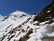 31 Dopo faticosa discesa e risalita con affondi nella neve riesco ad agganciare il sent. 101 che sale alla Forcella Rossa  